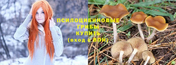 мдма Киреевск