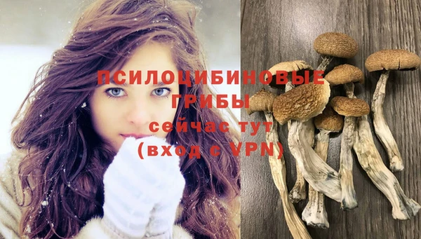 мдма Киреевск