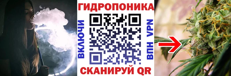 где купить наркоту  нарко площадка клад  Конопля тримм  Северск 